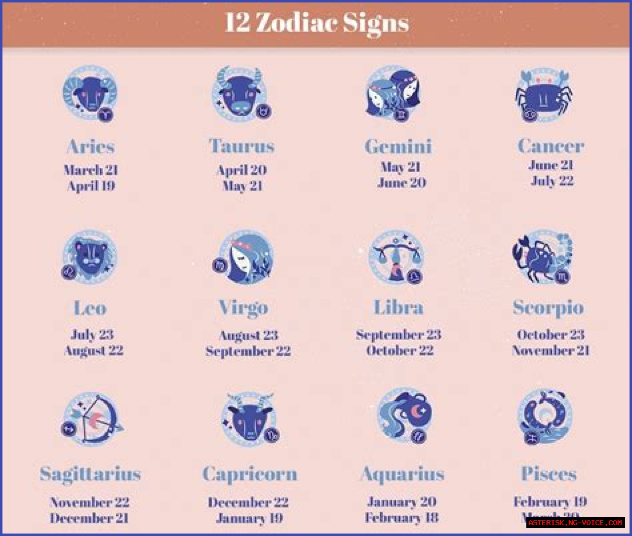 Adam Shulman Birthday: Age, Zodiac Sign And More