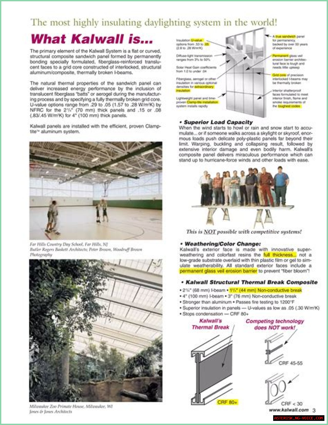 Dianna Batts: An Extraordinary Entrepreneur