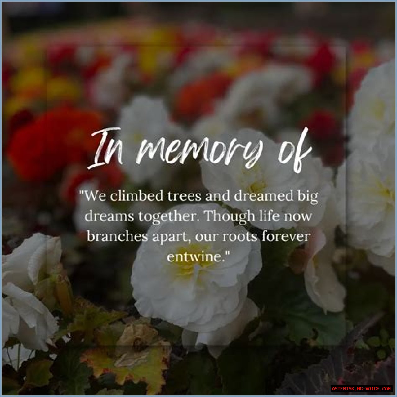 In Memoriam: Remembering Matt Keller And His Legacy