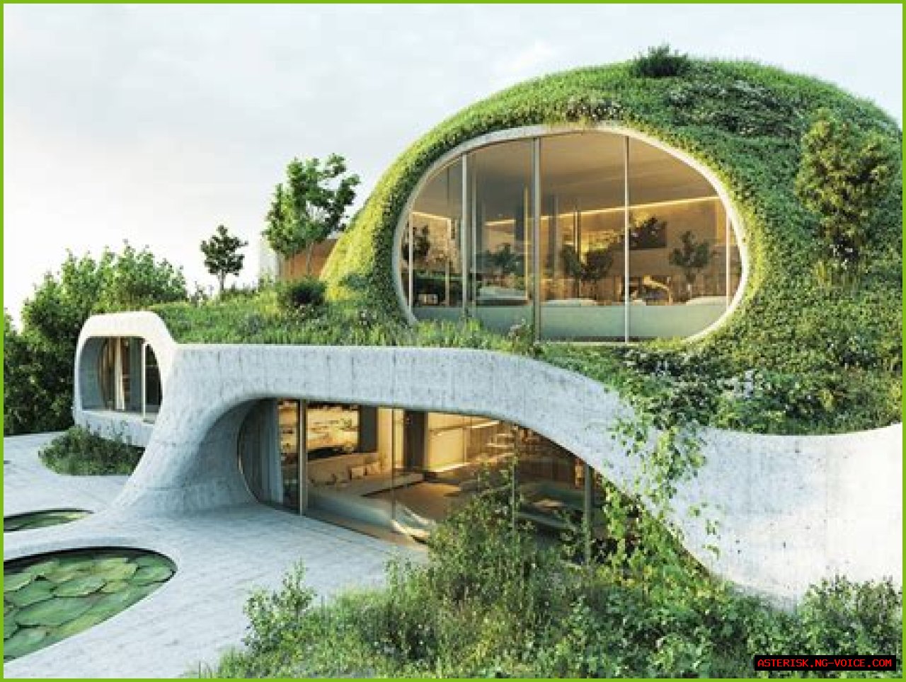 Paul Reicher: Expert In Architecture And Sustainability