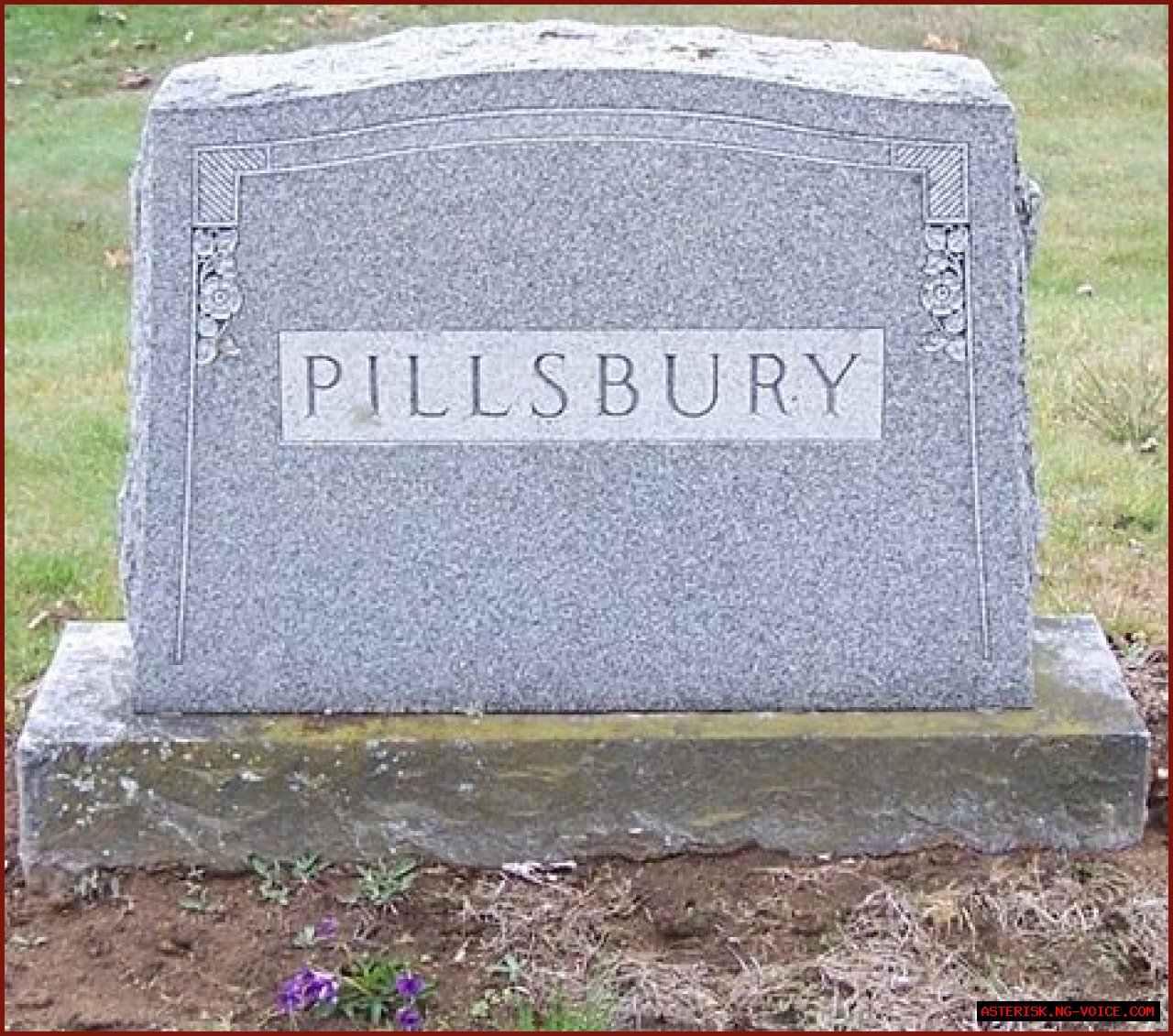 The Extraordinary Legacy Of Nellie Ruth Pillsbury, American Trailblazer