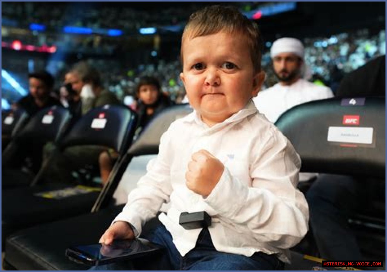 Uncovering The Age Of Hasbulla Magomedov: The Complete Truth