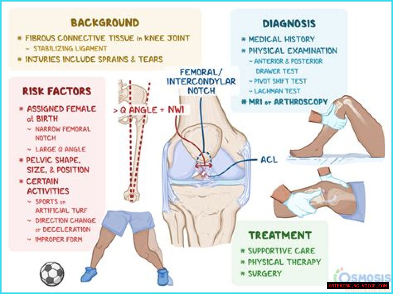 Understanding Fluid Buildup In The Knee: Causes, Symptoms, And Treatment Options